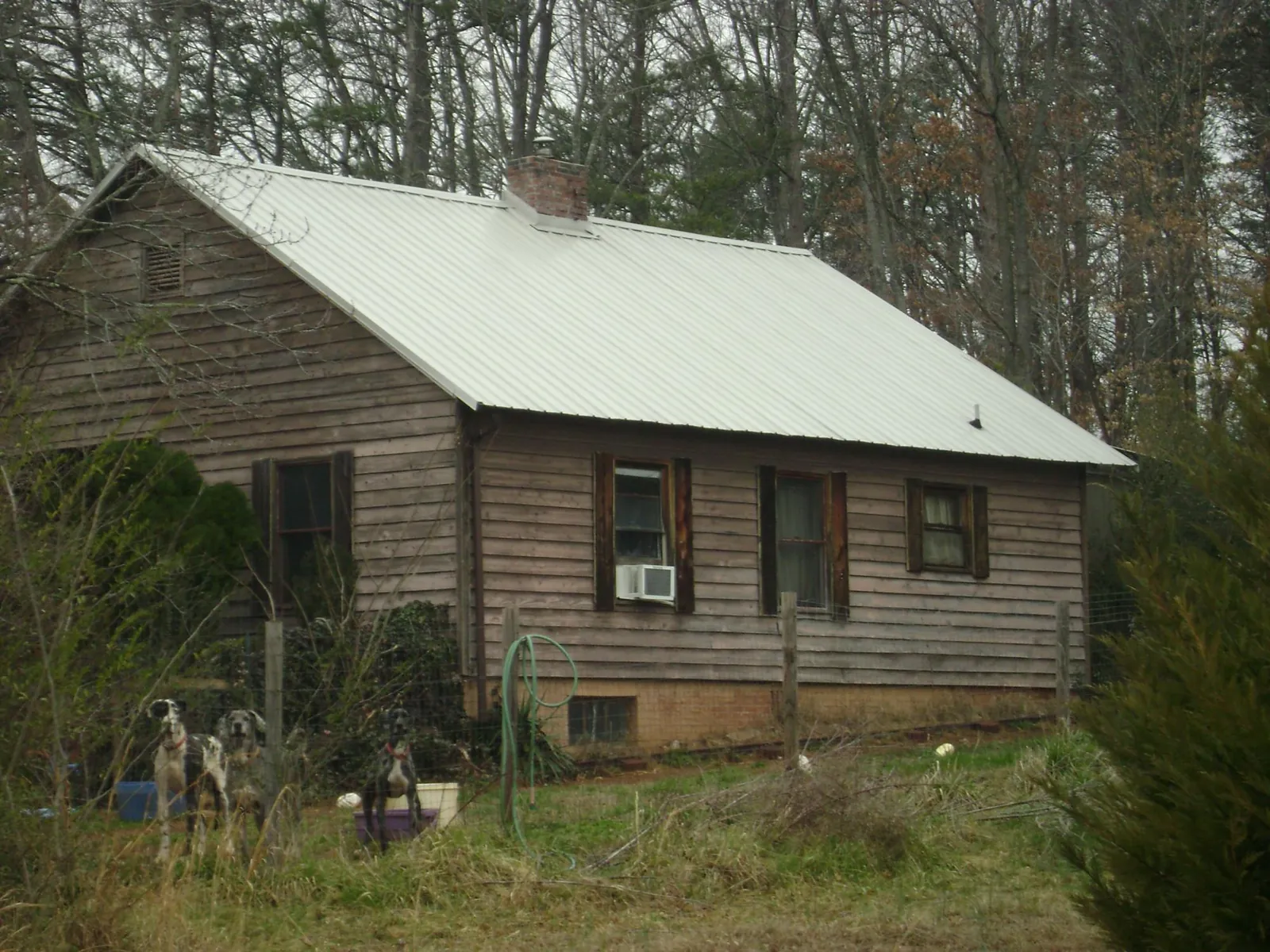 White metal roof on an old wood sided farmhouse, from a Asphalt Shingle Roof Repair job in Centralia